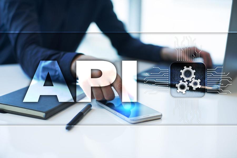 api interfaces schnittstellen anbindungen ecodms